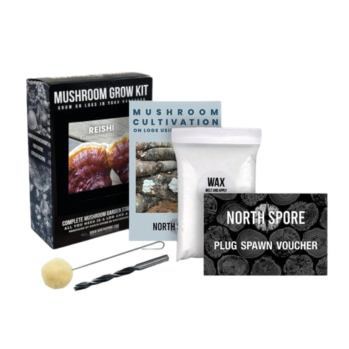 Organic Hemlock Reishi Mushroom Outdoor Log Growing Kit